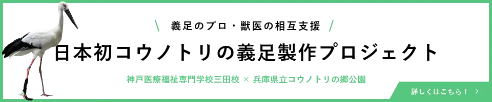 日本初コウノトリの義足制作プロジェクト