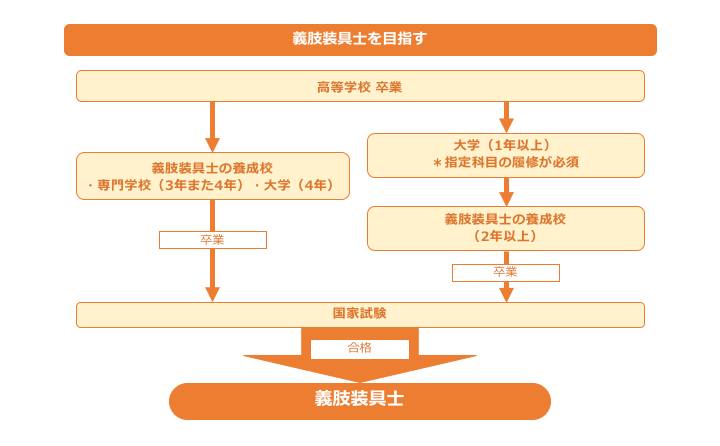 義肢装具士のロードマップ