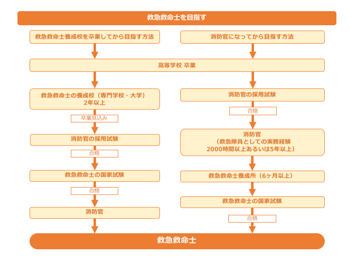 救急救命士のロードマップ