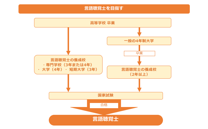 言語聴覚士のロードマップ