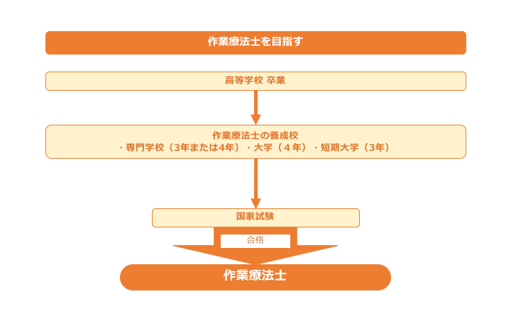 作業療法士のロードマップ