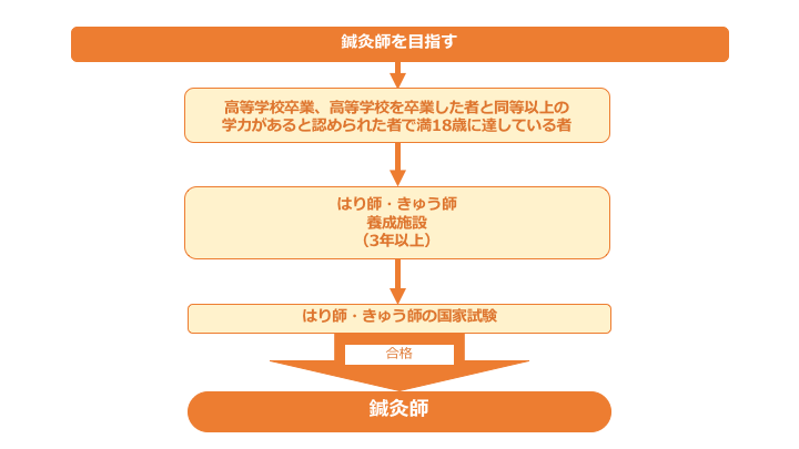 鍼灸師のロードマップ