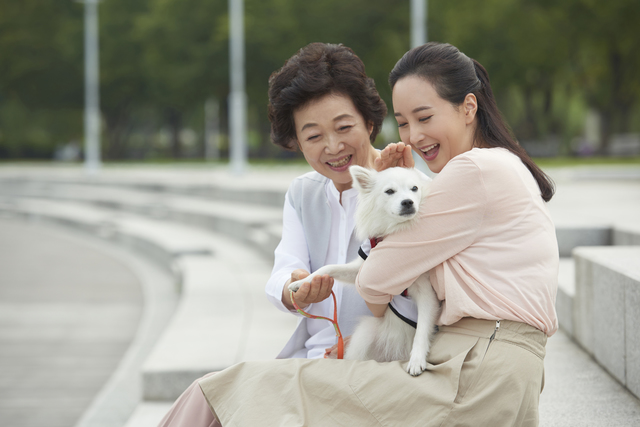 動物を助ける仕事にはどんなものがある 命と健康を守るいろんなカタチ 医療のお仕事辞典