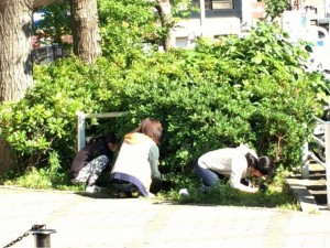 神戸　医療　福祉　専門　学校