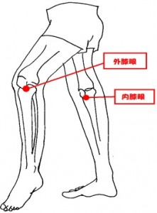 鍼灸　鍼灸師