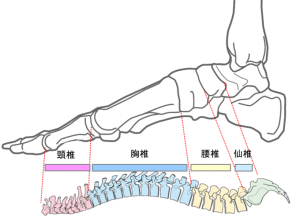 図3