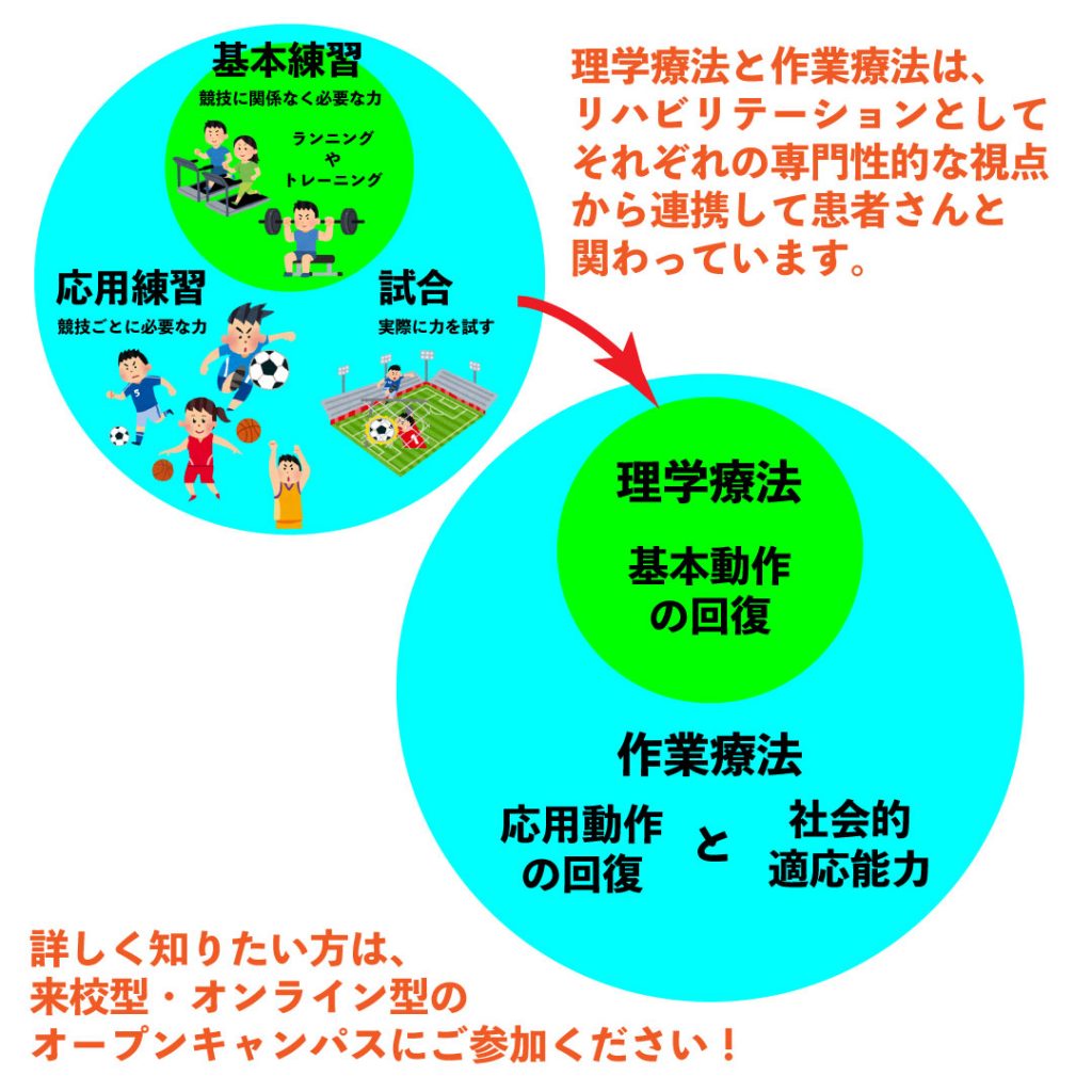 作業療法と理学療法の違いは？ 神戸医療福祉専門学校