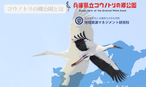 画像に alt 属性が指定されていません。ファイル名: bird5.jpg